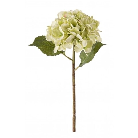 Hydrangea Gioiosa Művirág, Bizzotto, 52 cm, zöld