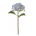 Művirág, Hydrangea Gioiosa, Bizzotto, 52 cm, világoskék