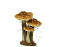 Mushroom Dekoráció, Decoris, 14x18x26 cm, poliészter, mustársárga