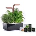 Jardiniera SMART Garden 33 x 18,5 x 45 cm, Copper - Veritable