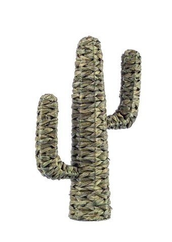 Saguaro Cactus Dísz, Bizzotto, 59 cm, tengerifű