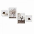 Set 4 tablouri decorative, Alpha Wall, Butterfly, 30x30/35x50 cm