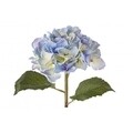 Művirág, Hydrangea Gioiosa, Bizzotto, 52 cm, világoskék