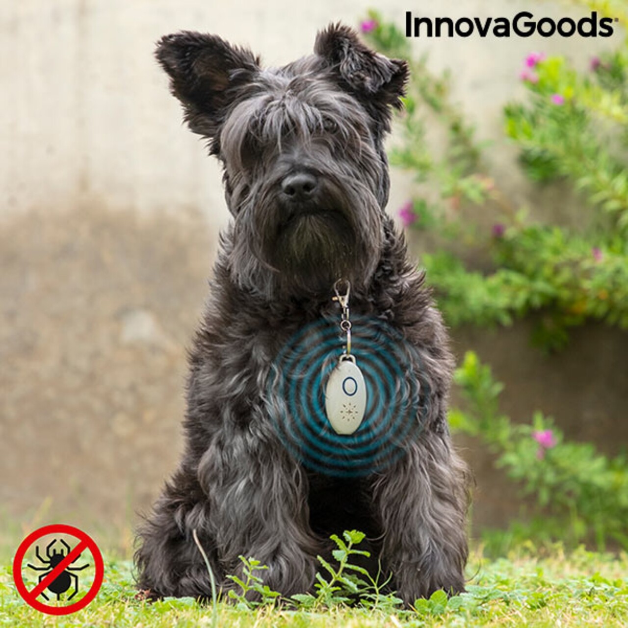 PetRep InnovaGoods Ultrahangos újratölthető parazitariasztó háziállatok számára