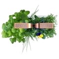 Jardiniera SMART Garden 33 x 18,5 x 45 cm, Copper - Veritable