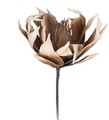 Floare artificiala Protea Roze, H81 cm, poliester, maro