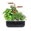 Jardiniera SMART Garden 33 x 18,5 x 45 cm, Copper - Veritable