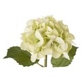 Hydrangea Gioiosa Művirág, Bizzotto, 52 cm, zöld