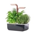 Jardiniera SMART Garden 33 x 18,5 x 45 cm, Copper - Veritable